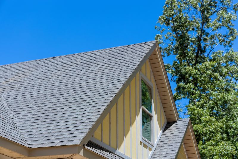 Asphalt Shingle Roof Installation Vs. Other Roofing Options