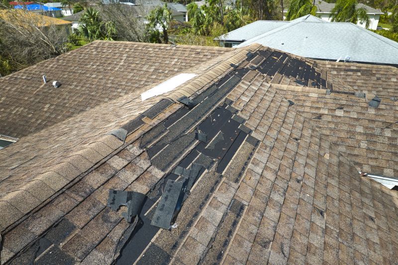 Roof Leak Repair